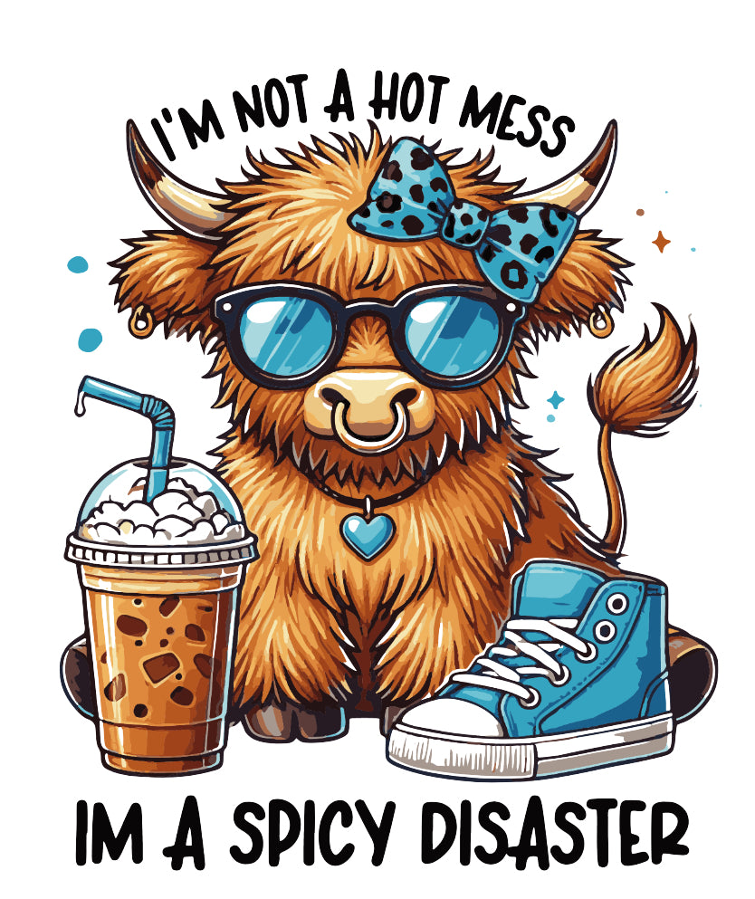 I’m not a hot mess - shirt