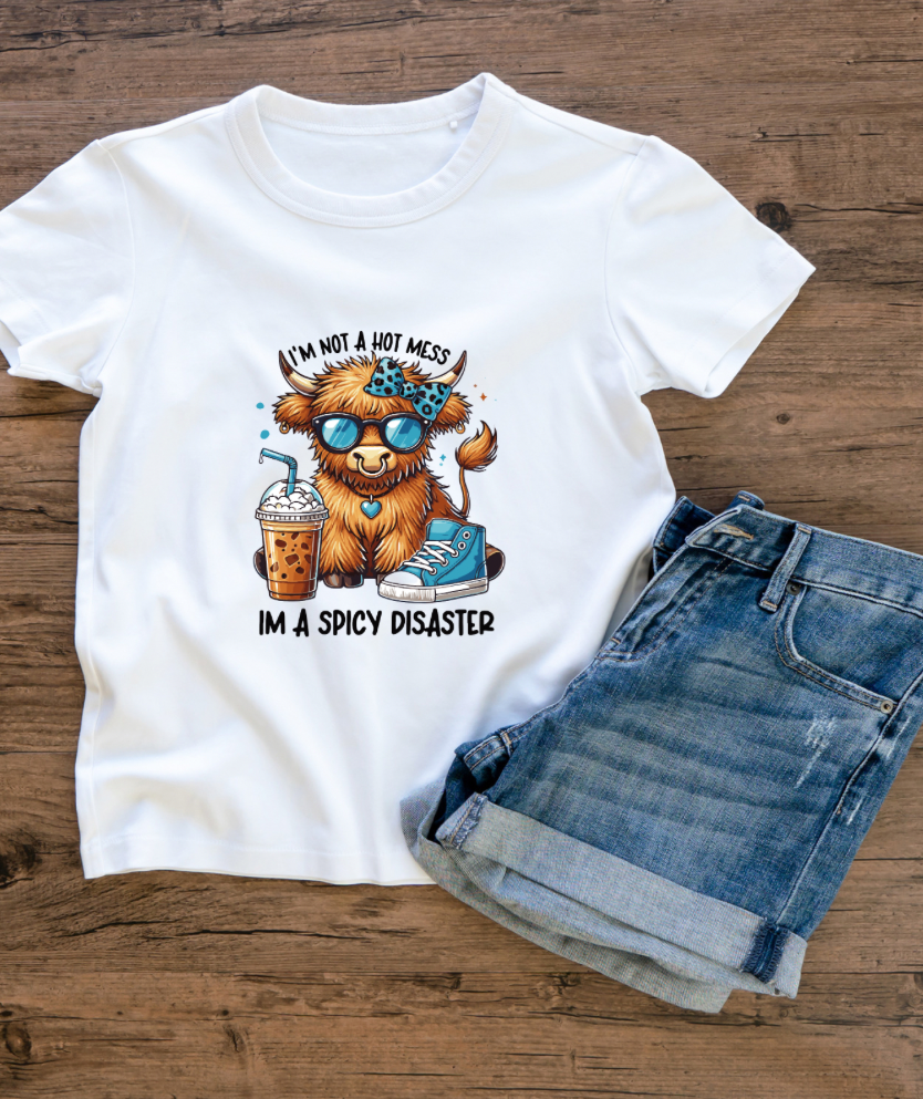 I’m not a hot mess - shirt