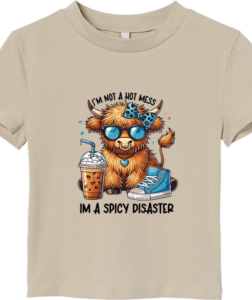 I’m not a hot mess - shirt