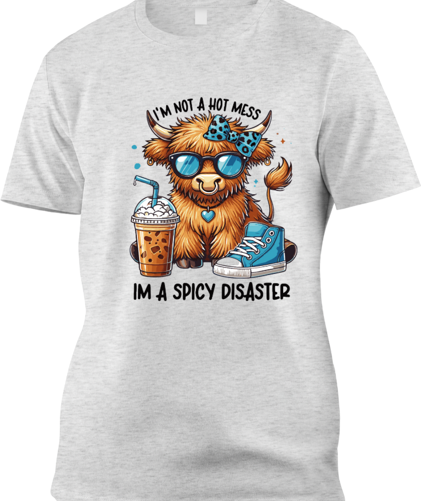 I’m not a hot mess - shirt
